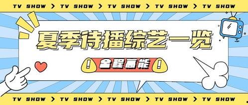 营销号娱乐吃瓜酱,吃瓜酱Plus带你探秘娱乐八卦风云