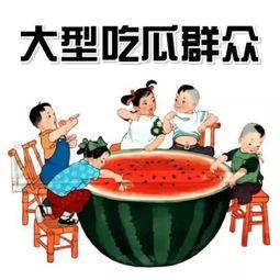 2022年娱乐吃瓜群众,揭秘年度十大爆笑、惊悚、泪点事件