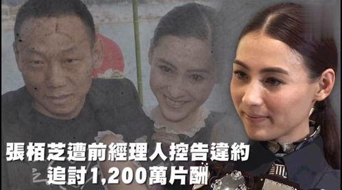 娱乐吃瓜风格是什么,揭秘吃瓜群众的狂欢盛宴