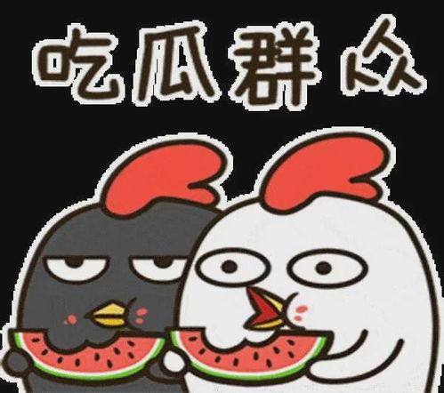 娱乐吃瓜小象微博,主播转会风云与八卦传闻