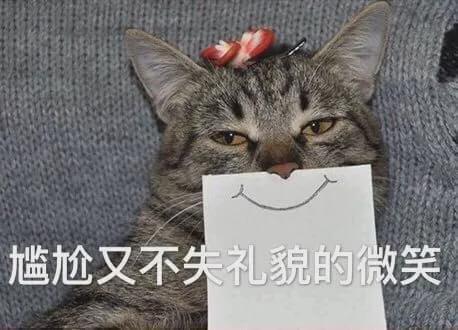 娱乐吃瓜酱猫糊糊,吃瓜酱猫糊糊带你领略幕后风云