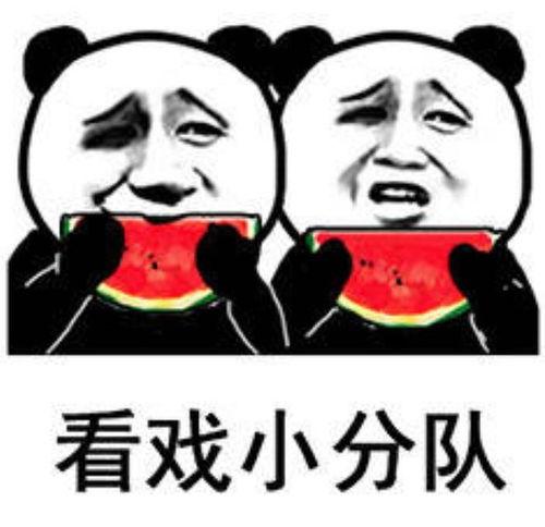 搞笑娱乐吃瓜图片高清版,欢乐瞬间尽收眼底