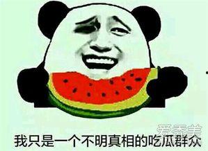 吃瓜娱乐怎么样,揭秘娱乐圈幕后故事