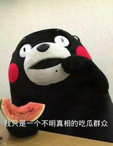 喵星娱乐吃瓜群众,吃瓜群众揭秘娱乐圈幕后真相