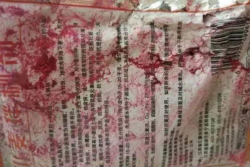 娱乐吃瓜君二豆,揭秘娱乐圈那些不为人知的幕后故事