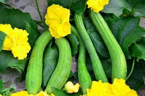 娱乐g718吃瓜,揭秘明星们的“吃瓜”日常