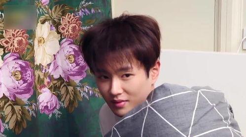 娱乐吃瓜范丞丞,娱乐界的吃瓜达人，揭秘娱乐圈背后的故事