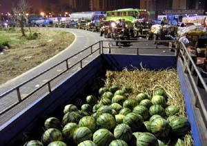 娱乐吃瓜场地图片