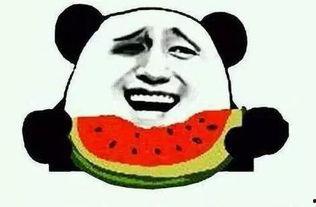 娱乐吃瓜酱旺仔,揭秘娱乐圈那些不为人知的幕后故事