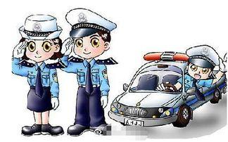 娱乐吃瓜酱交警小熊,交警小熊的娱乐吃瓜日常