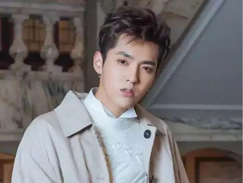 娱乐吃瓜丫张杨,揭秘张杨背后的故事