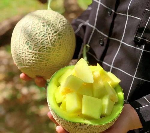 吃瓜娱乐圈真假,真假难辨的八卦风云