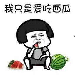 带你吃瓜之娱乐项目,揭秘娱乐圈幕后故事