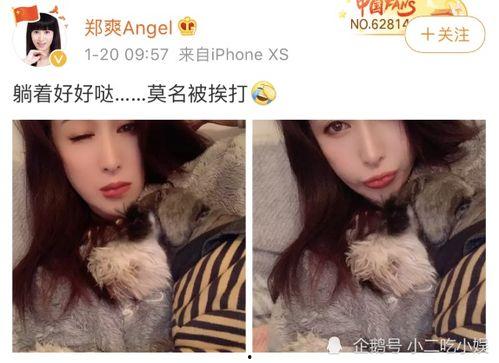 吃瓜网娱乐圈,吃瓜网独家揭秘！