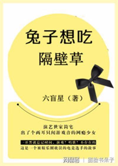 娱乐吃瓜外交小说推荐,娱乐界的国际风云录