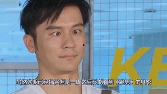 娱乐吃瓜大结局视频,揭秘幕后真相，明星命运大反转