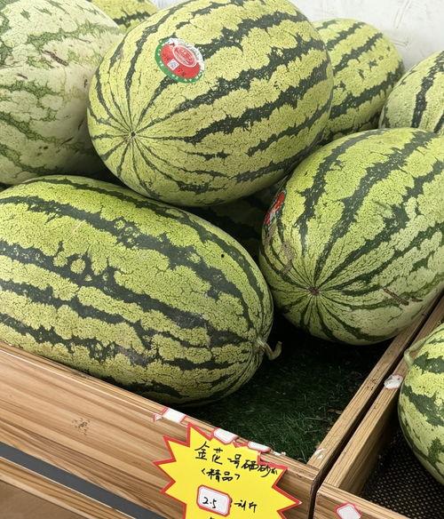 娱乐吃瓜酱重庆山东,揭秘重庆与山东的美食文化碰撞