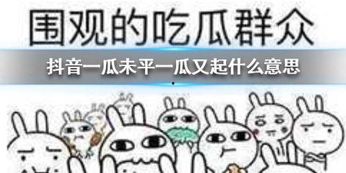 抖音娱乐吃瓜君,抖音“吃瓜君”带你揭秘娱乐圈最新热点事件